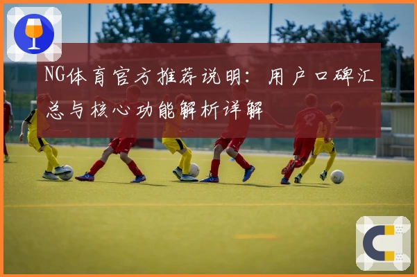 NG体育官方推荐说明：用户口碑汇总与核心功能解析详解